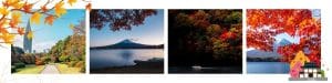 Otoño en Japón